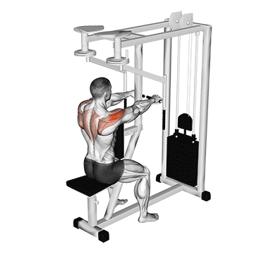 Rear Delt Fly Machine demonstration