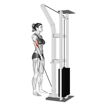 Reverse Single Arm Cable Curl demonstration