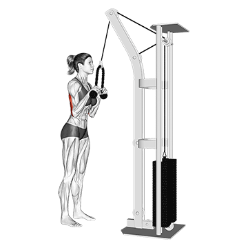 Rope Pushdown demonstration