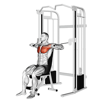 Seated Cable Chest Press demonstration