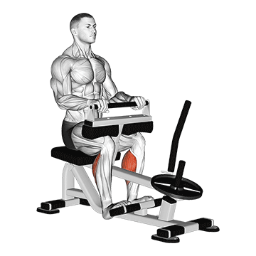 Seated Machine Calf Raise demonstration