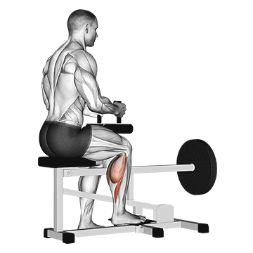 Seated Single Leg Machine Calf Raise demonstration
