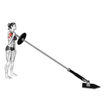 Single Arm Landmine Press demonstration