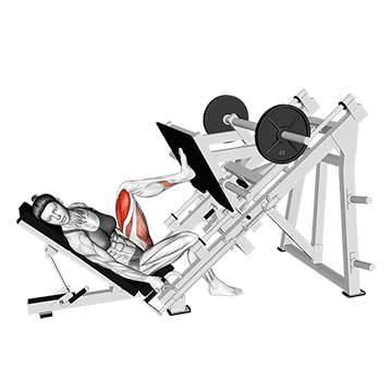 Single Leg Leg Press demonstration