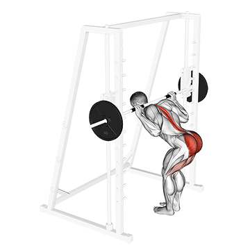 Smith Machine Good Morning demonstration
