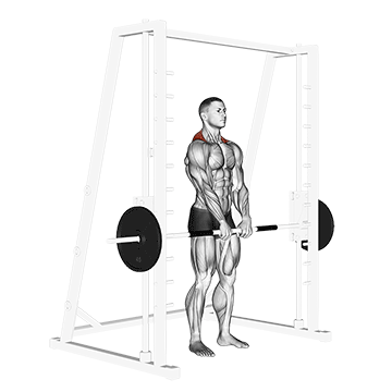 Smith Machine Shrug demonstration
