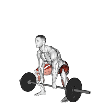Sumo Deadlift demonstration