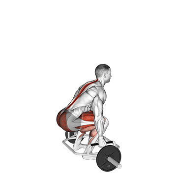 Trap Bar Deadlift demonstration