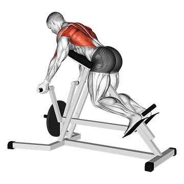 Underhand Grip T-Bar Row demonstration