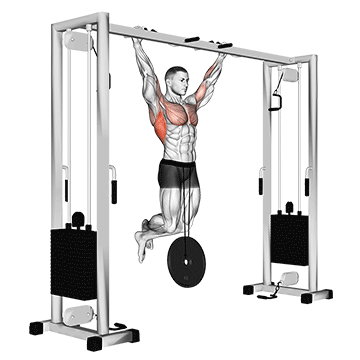 Weighted Pull Up demonstration