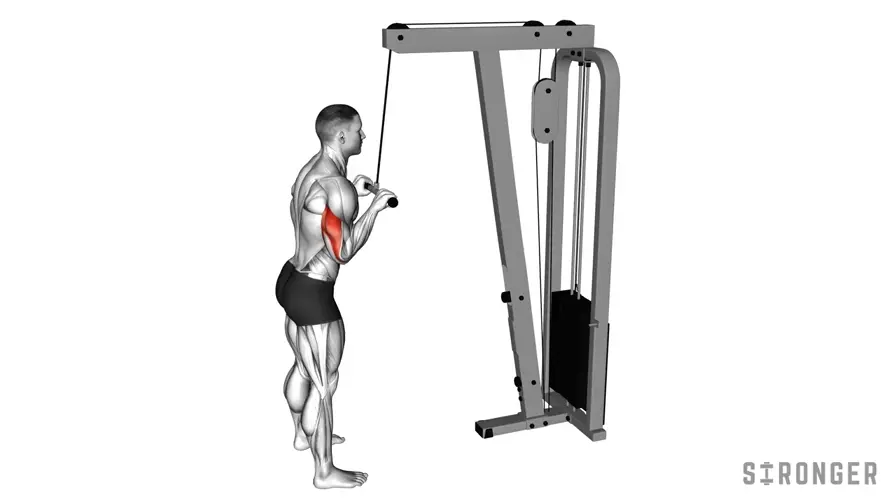 Bar Pushdown demonstration