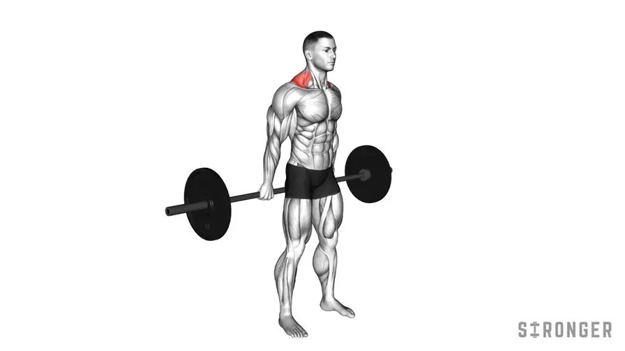 Barbell Behind the Back Shrug demonstration