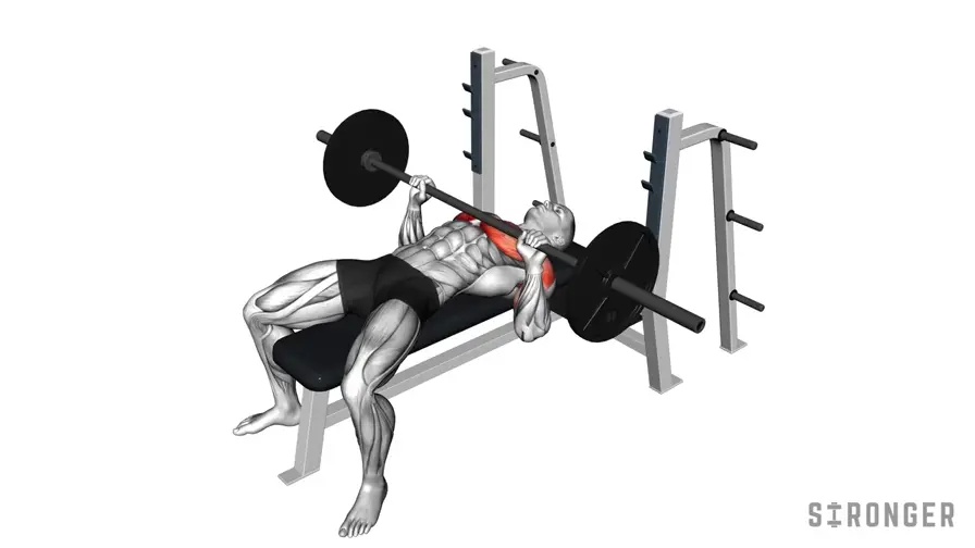 Barbell Bench Press demonstration