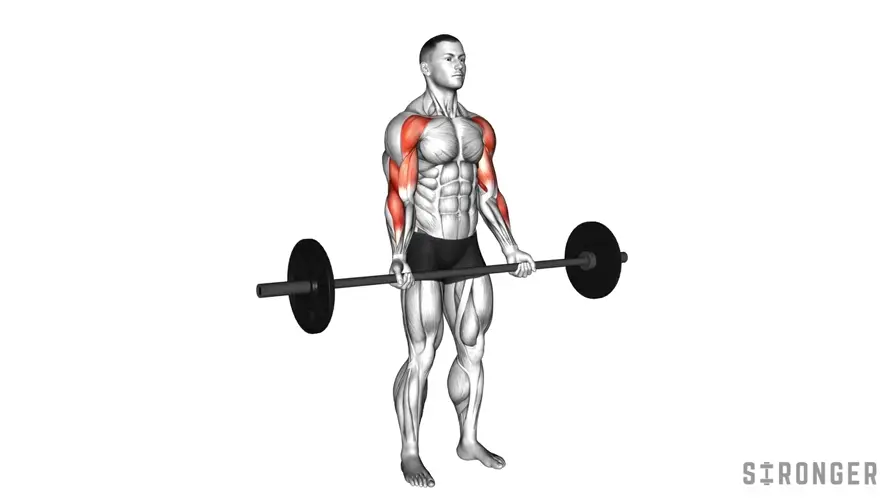 Barbell Drag Curl demonstration
