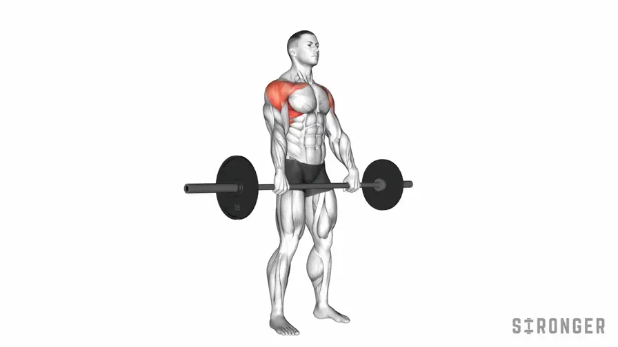 Barbell Front Raise demonstration