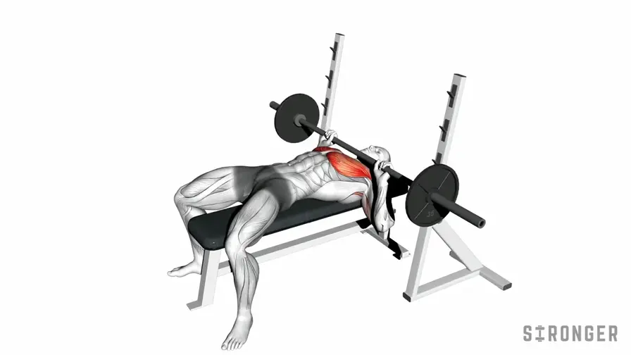 Barbell Guillotine Press demonstration