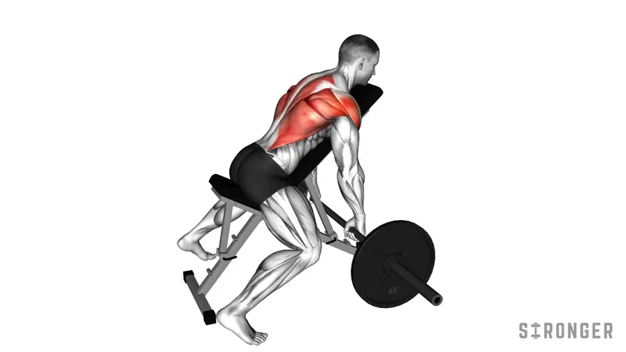 Barbell Incline Row demonstration