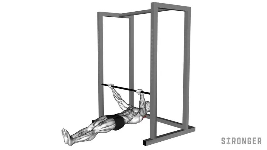 Barbell Inverted Row demonstration