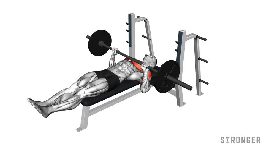 Barbell Larsen Press demonstration