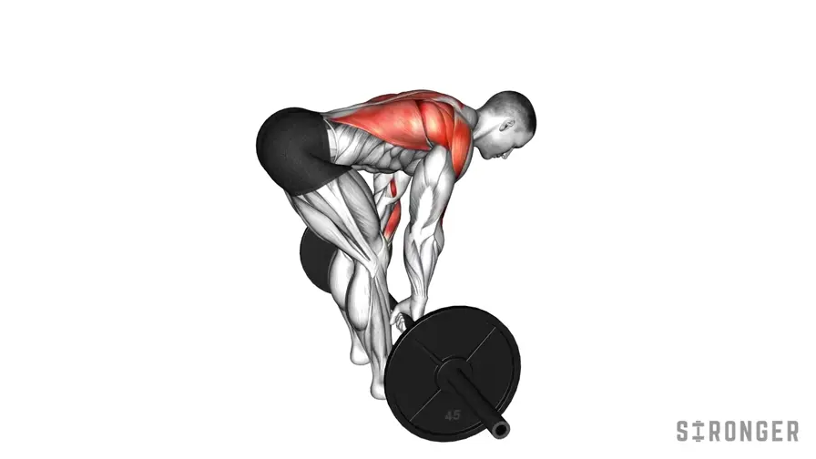 Barbell Row demonstration
