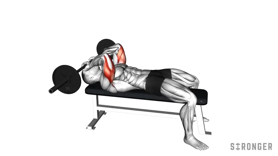 Barbell Skullcrusher demonstration
