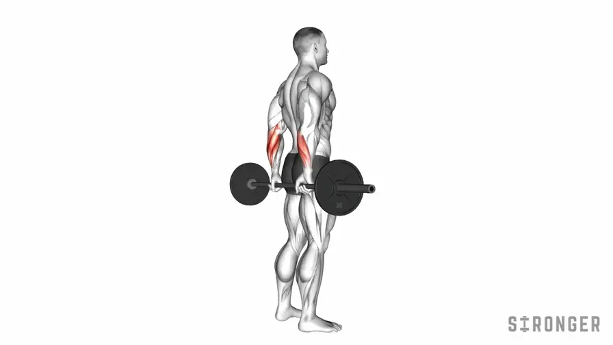 Barbell Standing Back Wrist Curl demonstration