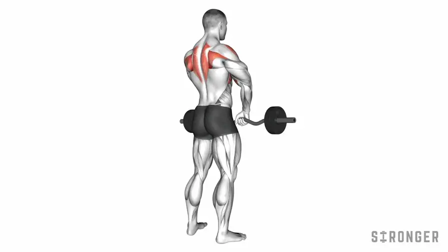 Barbell Upright Row demonstration
