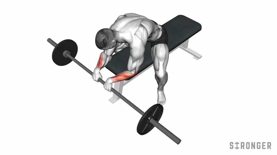Barbell Wrist Extension demonstration