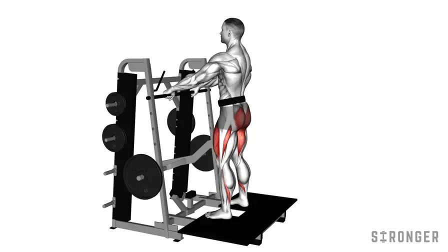 Belt Squat demonstration