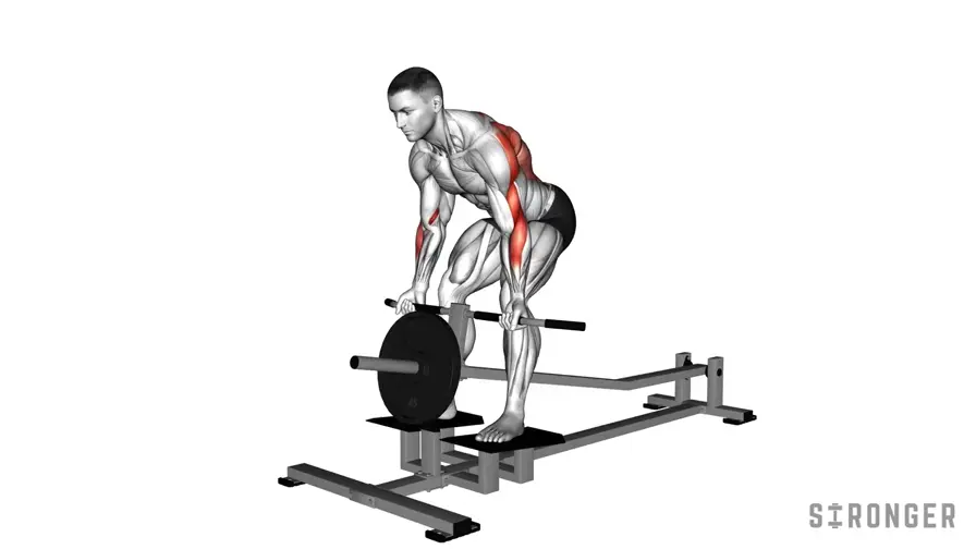 Bent Over Underhand Grip T-Bar Row demonstration