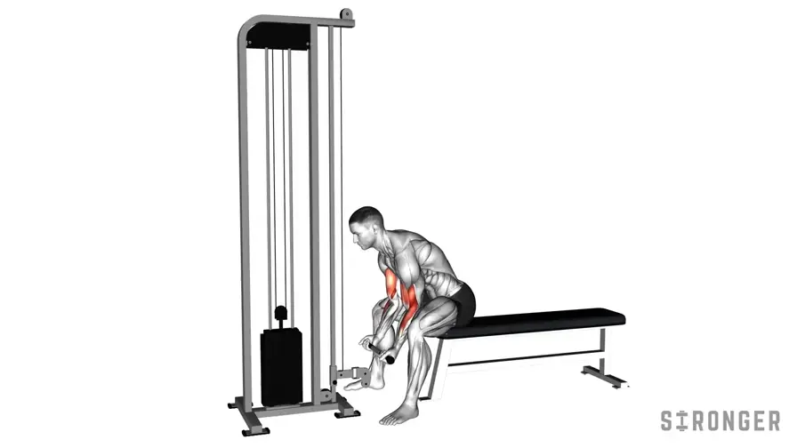Cable Concentration Curl demonstration