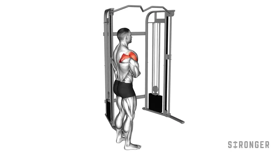 Cable External Rotation demonstration