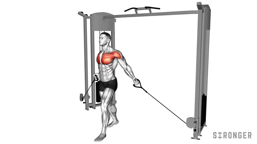 Cable Fly Low to High demonstration