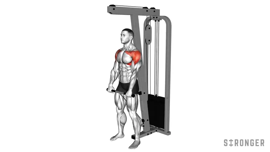 Cable Front Raise demonstration