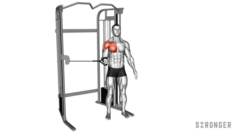 Cable Internal Rotation demonstration