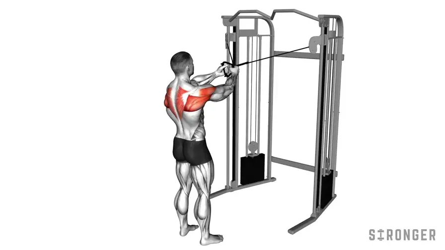 Cable Rear Delt Fly demonstration
