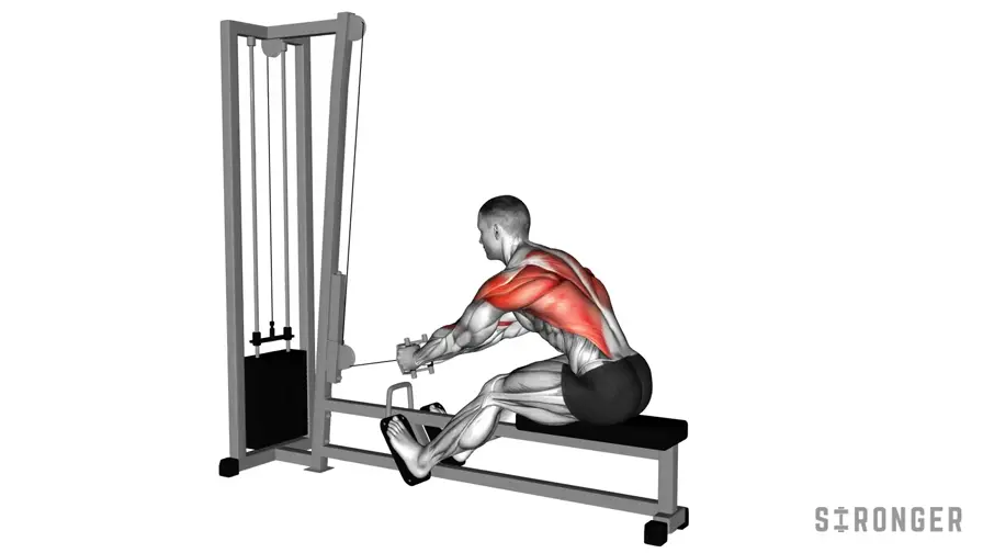 Cable Row demonstration