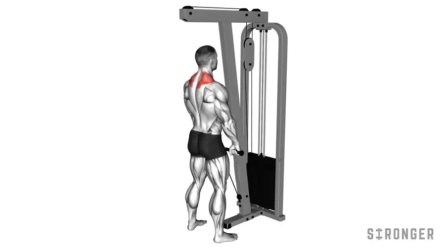 Cable Shrug demonstration