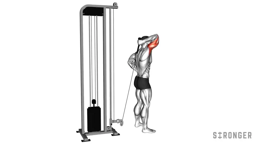 Cable Single Arm Extension demonstration