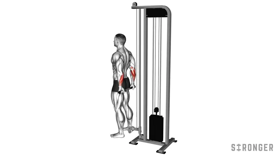 Cable Standing Back Wrist Curl demonstration