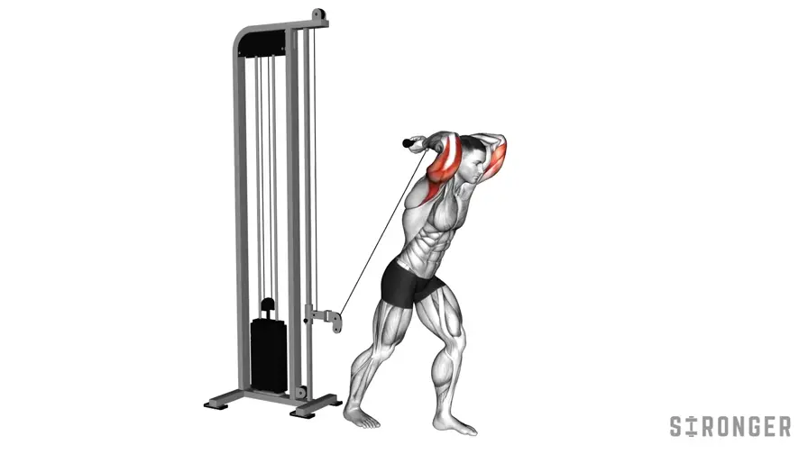 Cable Straight Bar Overhead Tricep Extension demonstration