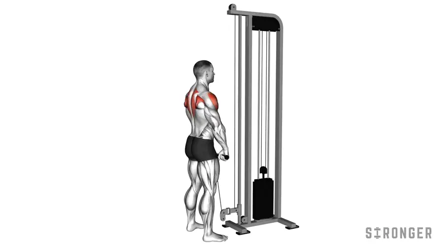 Cable Upright Row demonstration