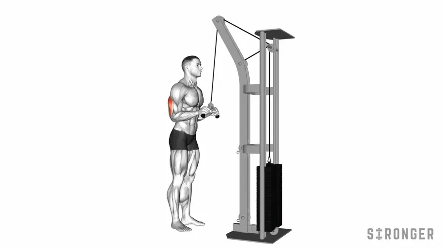 Cable V Bar Pushdown demonstration