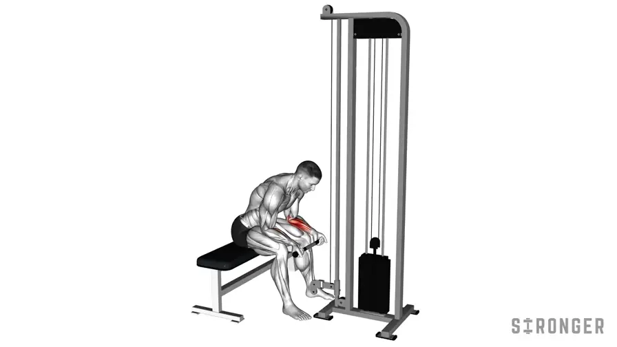 Cable Wrist Curl demonstration