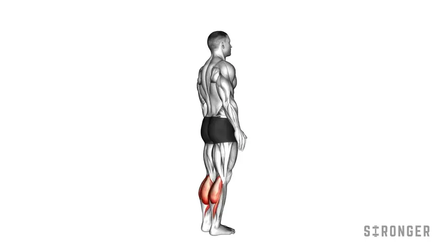 Calf Raises demonstration