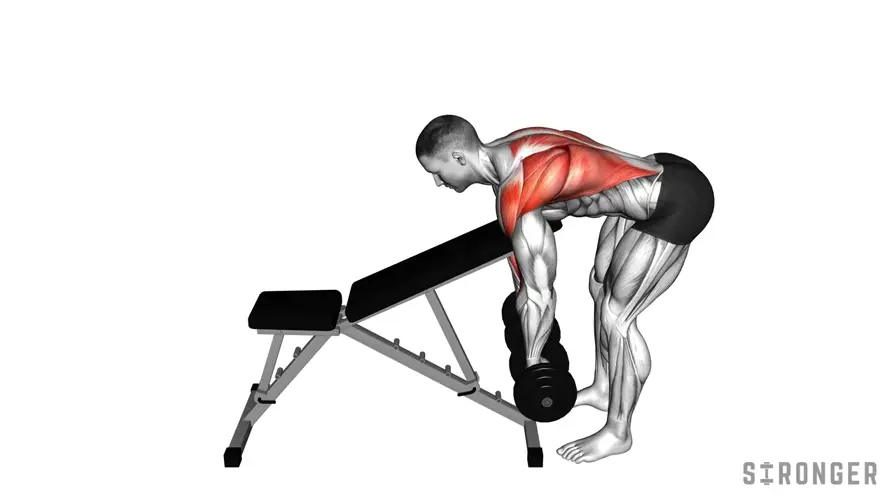 Chest Supported Dumbbell Row demonstration