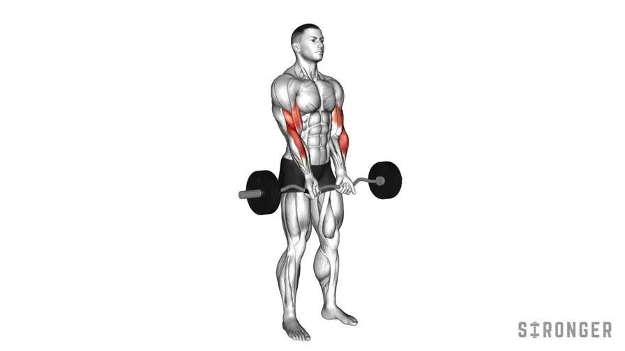 Close Grip EZ Bar Curl demonstration