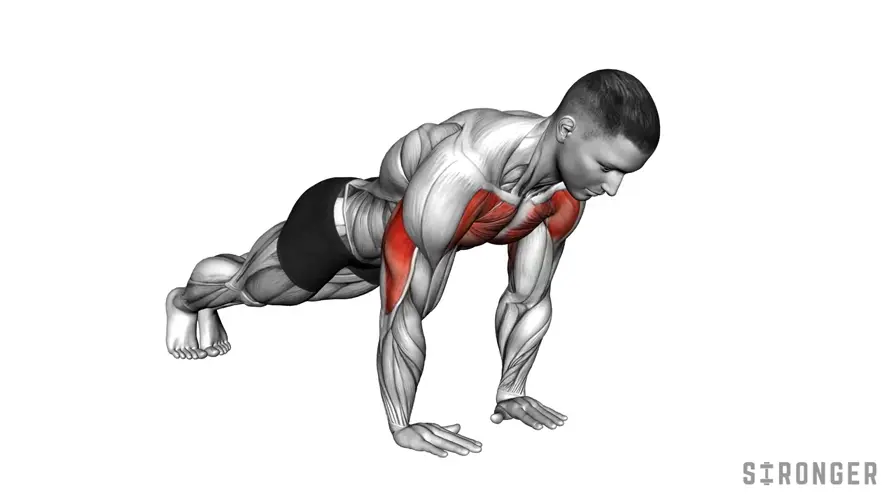 Close Grip Push Up demonstration