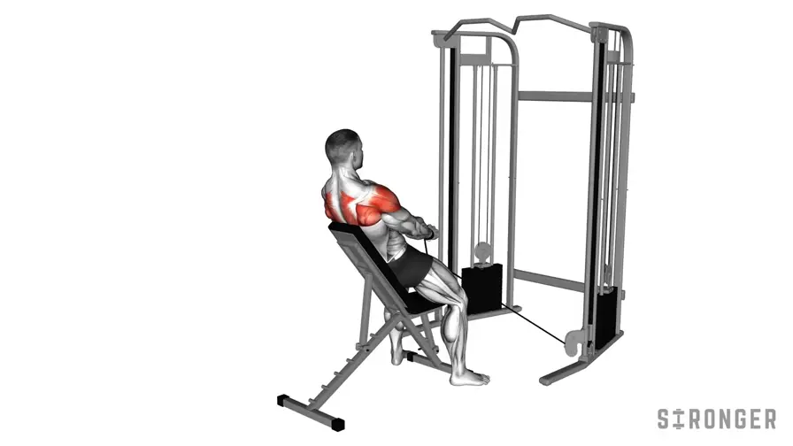 Cuffed Cable Seated Y Raise demonstration