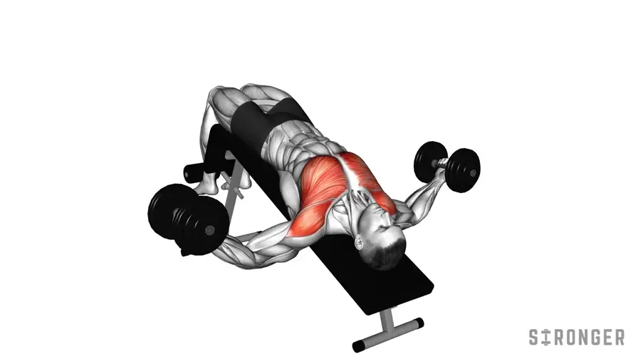 Decline Dumbbell Fly demonstration